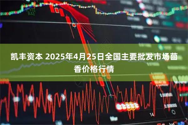 凯丰资本 2025年4月25日全国主要批发市场茴香价格行情