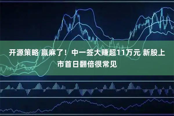 开源策略 赢麻了！中一签大赚超11万元 新股上市首日翻倍很常见