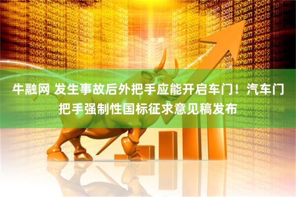 牛融网 发生事故后外把手应能开启车门！汽车门把手强制性国标征求意见稿发布