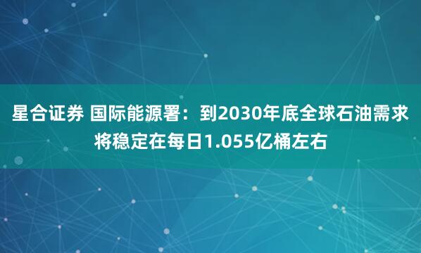 星合证券 国际能源署：到2030年底全球石油需求将稳定在每日1.055亿桶左右