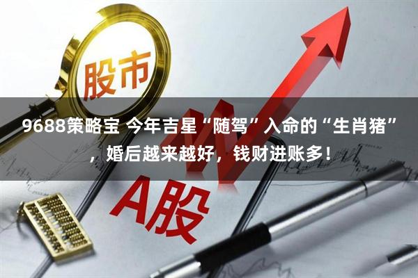 9688策略宝 今年吉星“随驾”入命的“生肖猪”，婚后越来越好，钱财进账多！
