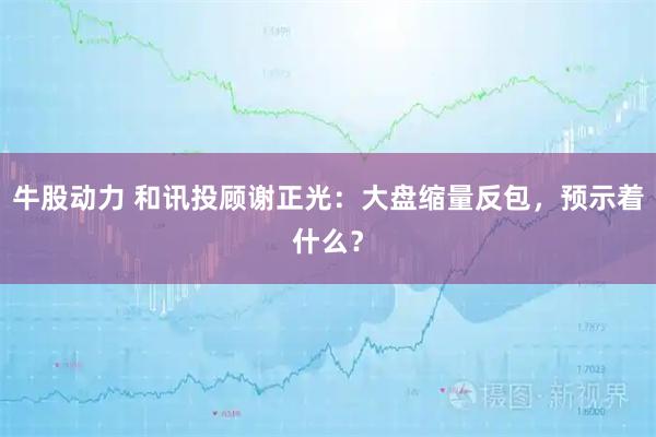 牛股动力 和讯投顾谢正光：大盘缩量反包，预示着什么？