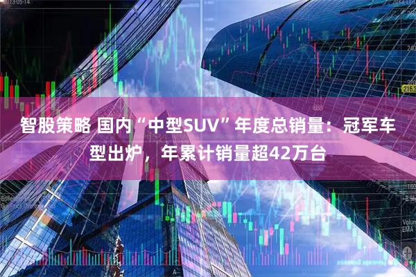 智股策略 国内“中型SUV”年度总销量：冠军车型出炉，年累计销量超42万台